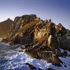 Cape Peninsula Full Day Tour