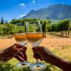 Wine Tasting Full Day Tour