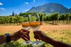 Wine Tasting Full Day Tour