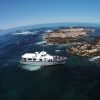 Cape Peninsula Full Day Tour