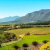 Wine Tasting Full Day Tour