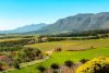 Wine Tasting Full Day Tour