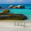 Cape Peninsula Full Day Tour