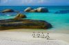 Cape Peninsula Full Day Tour