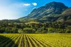 Wine Tasting Full Day Tour
