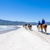 Horse Riding