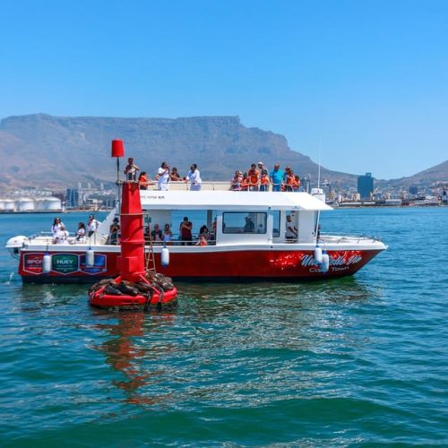 Boat Cruise
