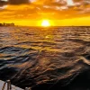 Boat Cruise