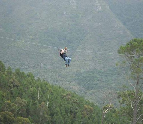 Zip Lining