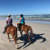 Horse Riding