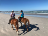 Horse Riding