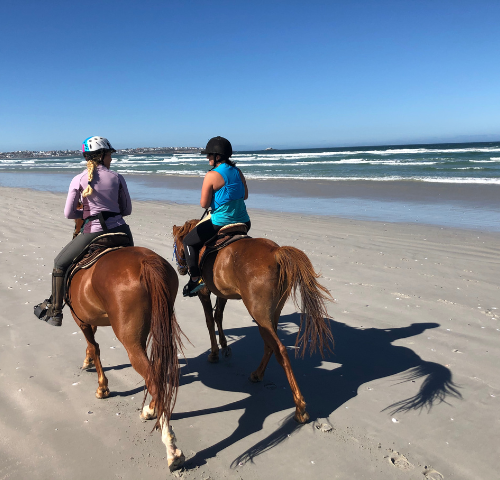Horse Riding