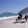 Horse Riding