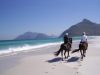 Horse Riding