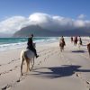 Horse Riding