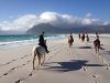 Horse Riding